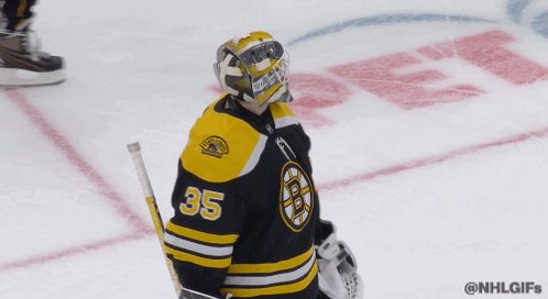 bruins goalie hug｜TikTok Search