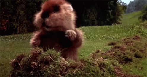 Caddyshack Gopher GIF