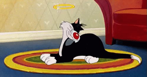 Sylvester GIF