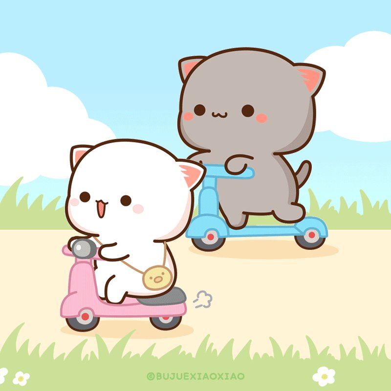 おてんきがいい日は、 ふたりでおでかけ〜🛵🛴💕 #ももねこちゃん