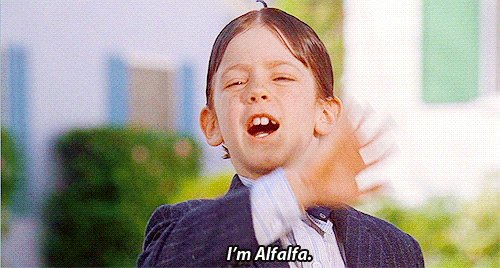 Happy 37th birthday to Bug Hall! He s best known for his role as Alfalfa Switzer from the 1994 Little Rascals film. 