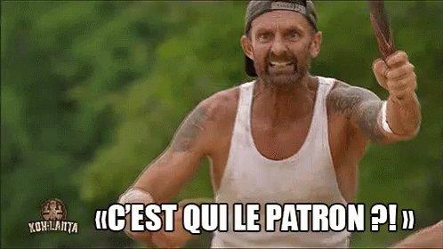 C'Est Qui Le Patron GIF