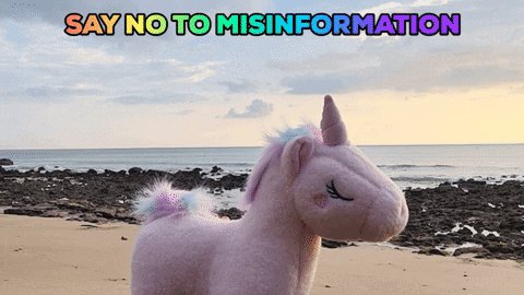 Unicorn Misinformation GIF ...