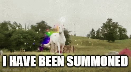 Unicorn Adri GIF