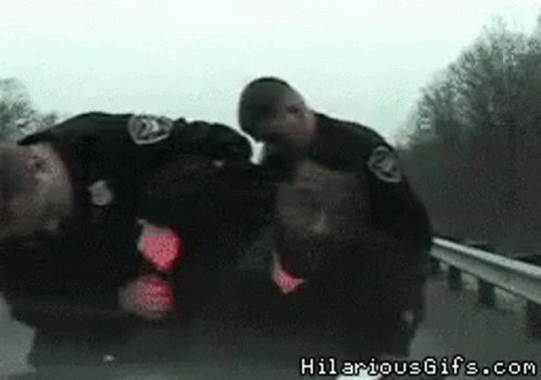 Arrested Police GIF