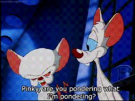 pondering pinky and the bra...