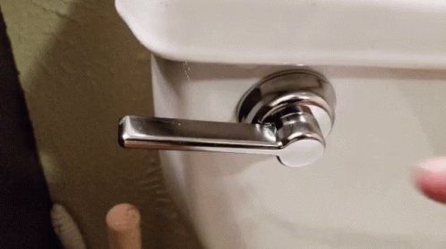 Flush Toilet GIF