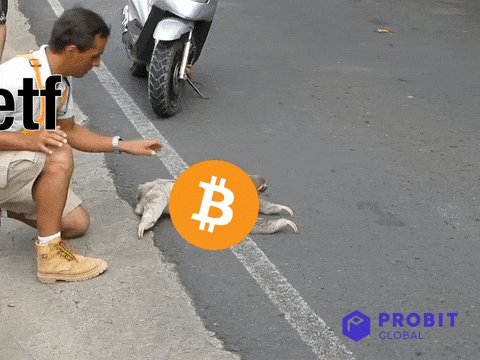 Crypto Bitcoin GIF by ProBi...