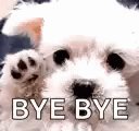 Good Bye Dog GIF