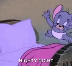 Tom And Jerry Night GIF