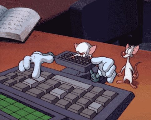Working Pinky And The Brain...