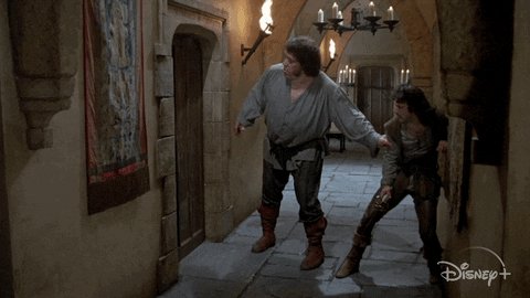 The Princess Bride Disney Plus GIF by Disney+