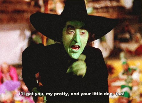 Wicked Witch Ill Get You GIF