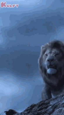 Lion Roaring Aruchuta GIF