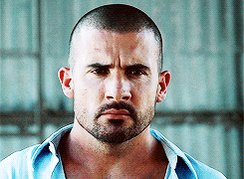 Happy Birthday  Dominic Purcell 
