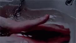 The Hunger1983 Wash GIF