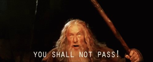 You Shall Not Pass GIF