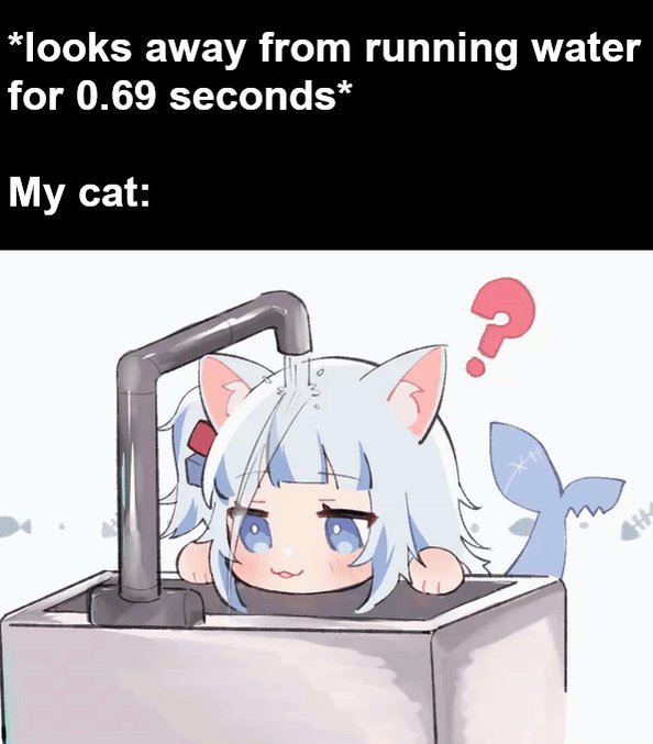 cats anime Memes & GIFs - Imgflip
