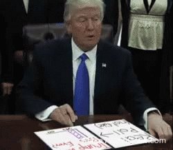 Trump Draw GIF