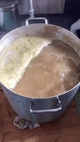 Boil Koke GIF