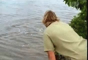 Happy heavenly birthday to a Pisces angel, Steve Irwin 