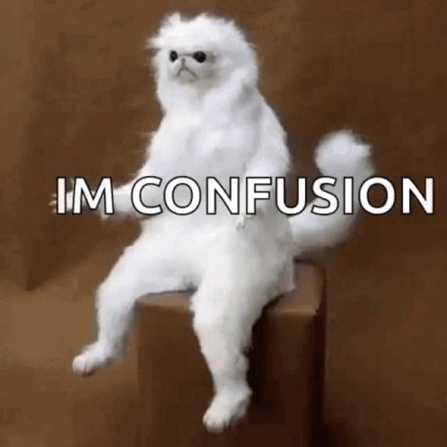 Confused Confusion GIF