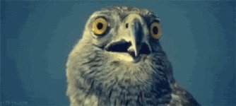 Shocked Eyes GIF
