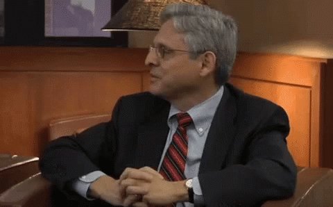 Merrick Garland GIF