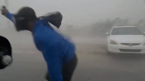 Hurricane Irma Windy GIF