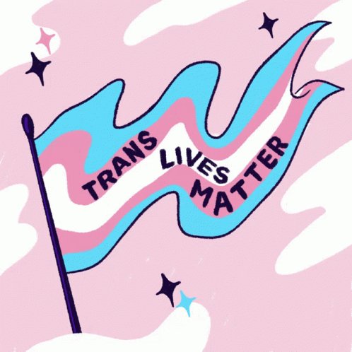 Trans Lives Matter Black Tr...