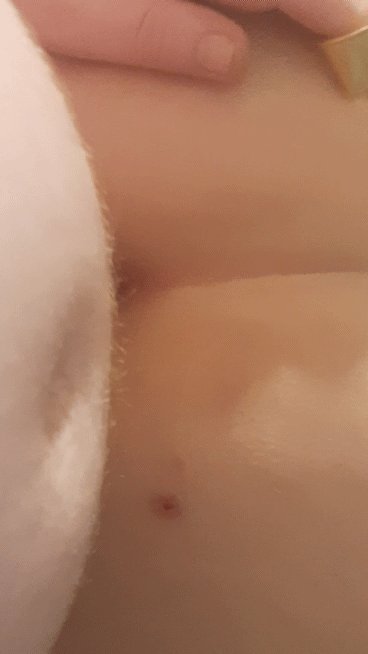 Getting some dick. Please RT and follow for more!! #dicking #sex #doggystyle #nsfw #nsfwxRolePlay #cosplay<a href="/tag/sex"class="tags"><span>#sex</span></a><a href="/tag/cosplay"class="tags"><span>#cosplay</span></a><a href="/tag/doggystyle"class="tags"><span>#doggystyle</span></a><a href="/tag/nsfw"class="tags"><span>#nsfw</span></a><a href="/tag/nsfwcosplay"class="tags"><span>#nsfwcosplay</span></a><a href="/tag/dicking"class="tags"><span>#dicking</span></a>