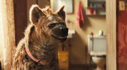 Birds Of Prey Hyena GIF