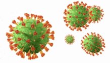 Covid19 Virus GIF