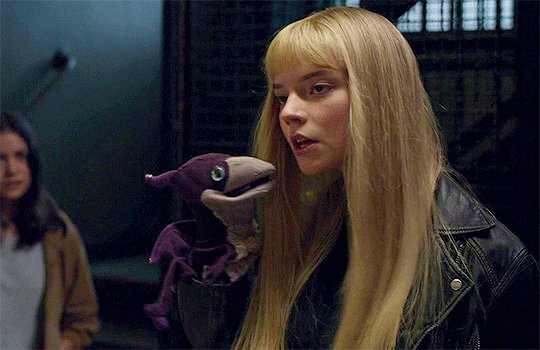 Me, pretending to care about your shit again https://t.co/d9qux4rIw6<a href="/tag/tbvideo"class="tags"><span>#tbvideo</span></a>