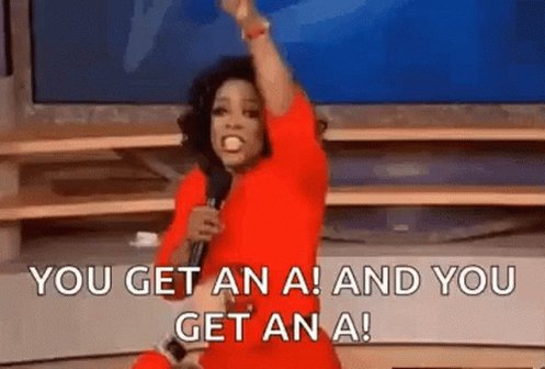 Oprah Winfrey You Get An A GIF