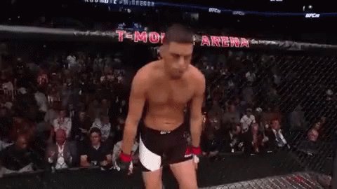 Nate Diaz Fight GIF