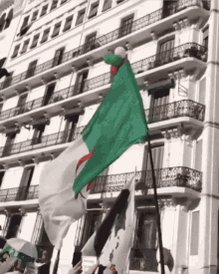 Drapeau Dz Algeria Flag GIF