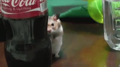 Creepy Hamster GIF