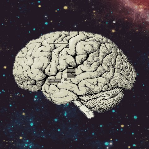 the universe brain GIF by P...