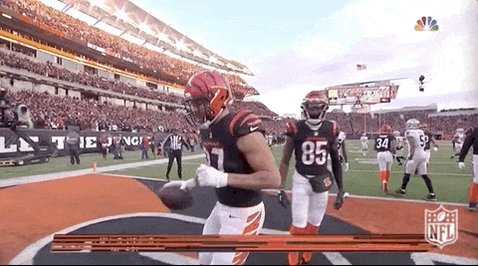 Nfl Playoffs Football GIF b...