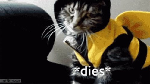 Dies Over GIF