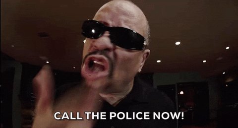 ice cube cops GIF by Leroy ...