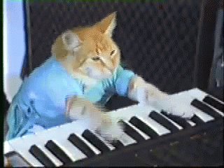 Keyboard cat