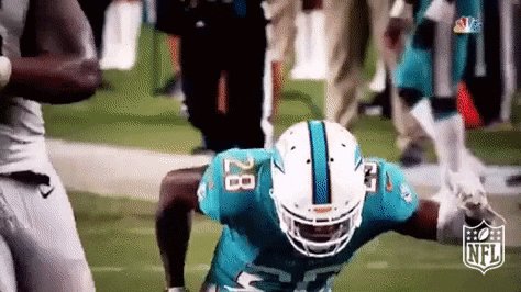 Miami Dolphins Football GIF...