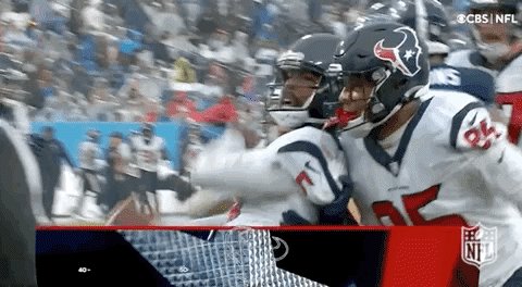 Houston Texans Football GIF...