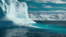 Penguins Antarctica GIF