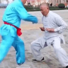 Kung Fu Nuts GIF