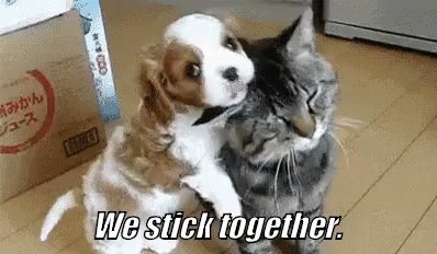 We Stick Together. GIF