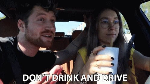 Dont Drink And Drive Scotty Sire GIF