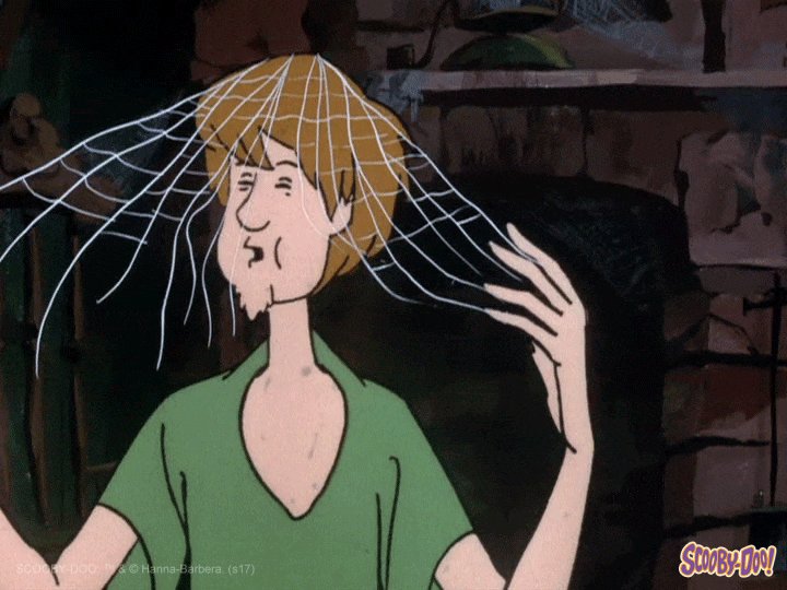 Shaggy from the animated Scooby Doo coughing with a spider w